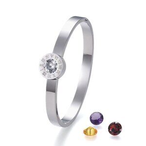 Hinged Stainless Steel Bangle changeable Rhinestone W Roman Numerals Silver Gold